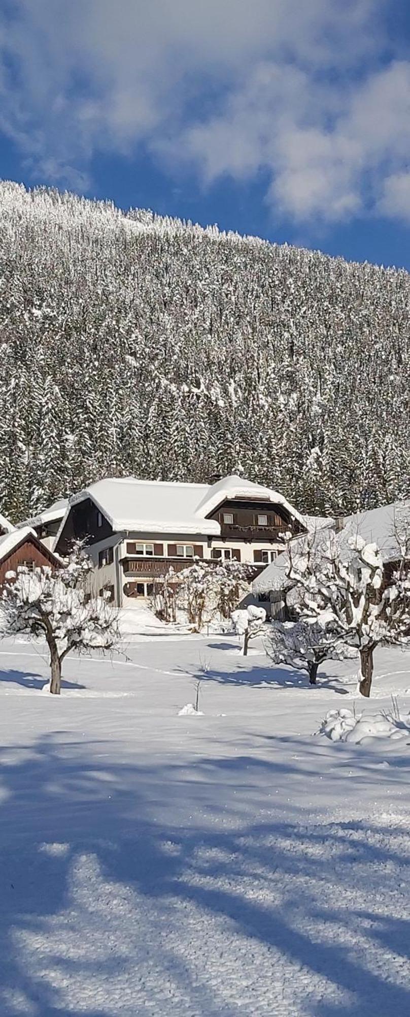 Appartement Haus Binder à Weissensee Extérieur photo
