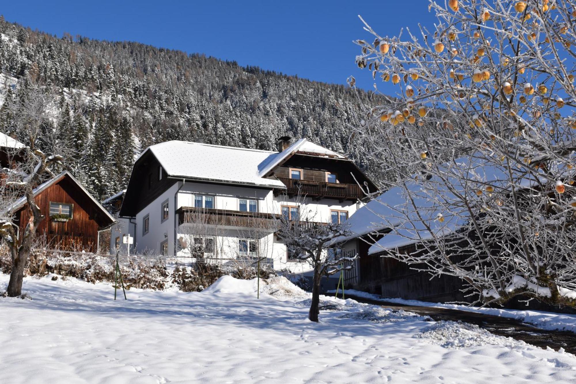 Appartement Haus Binder à Weissensee Extérieur photo