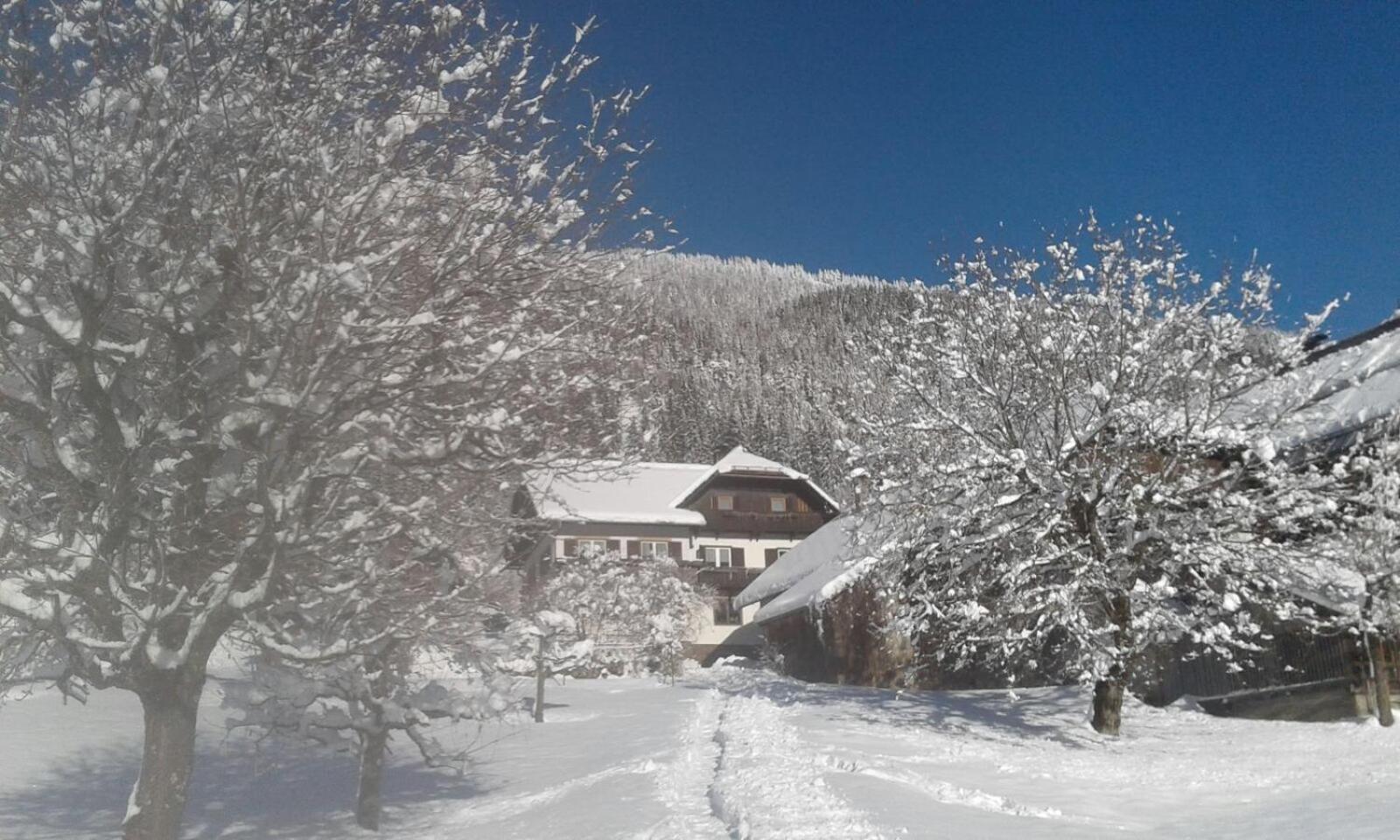 Appartement Haus Binder à Weissensee Extérieur photo